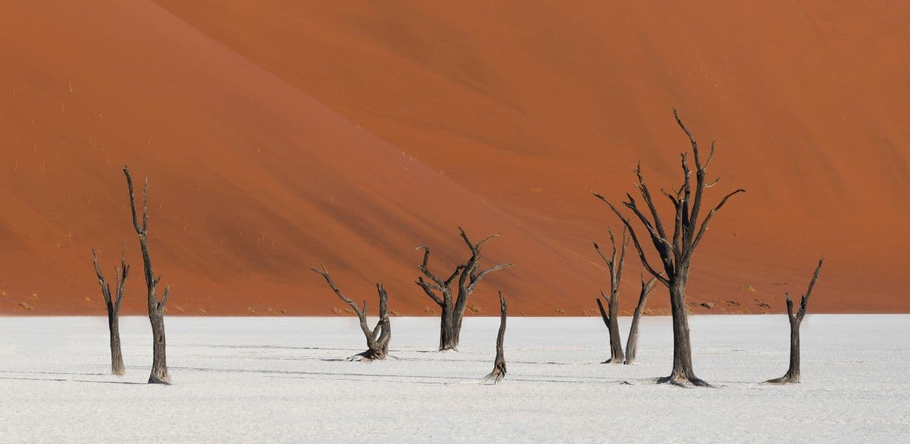 Dead Vlei
